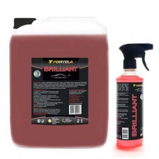 Очиститель стекол «Fortela Brilliant» - 5кг